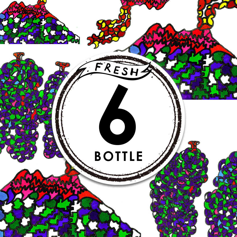 6本セット SAKURAJIMA Nouveau / 330ml 瓶ビール (複製)